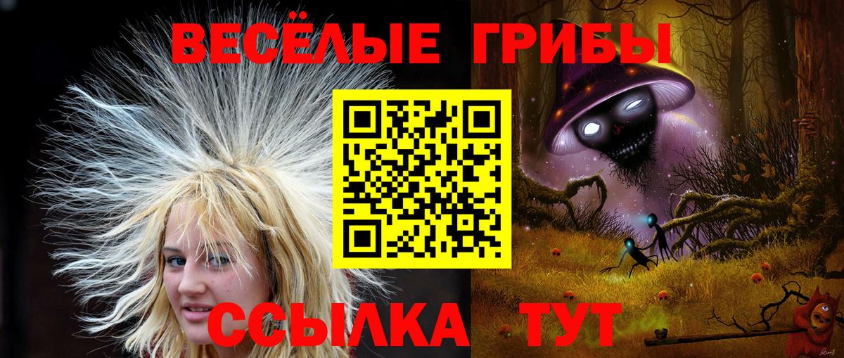 Галлюциногенные грибы ЛСД Кинель