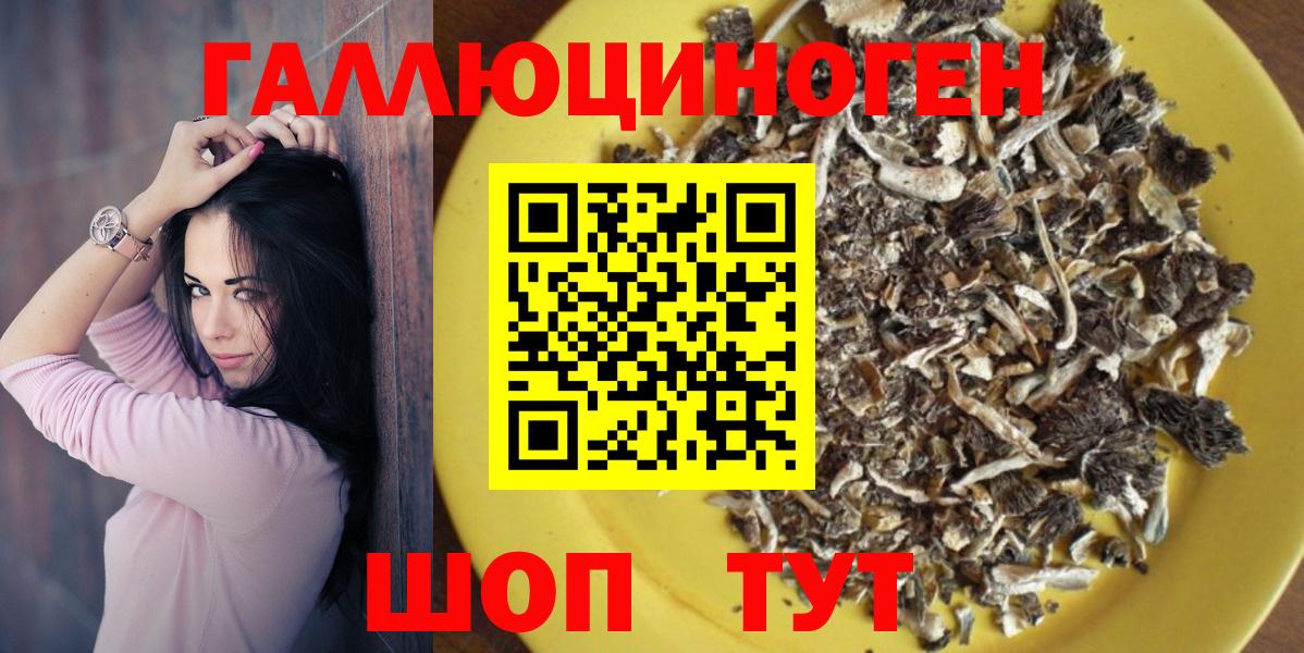 Кинель  Псилоцибиновые грибы Psilocybe  Вход с VPN 